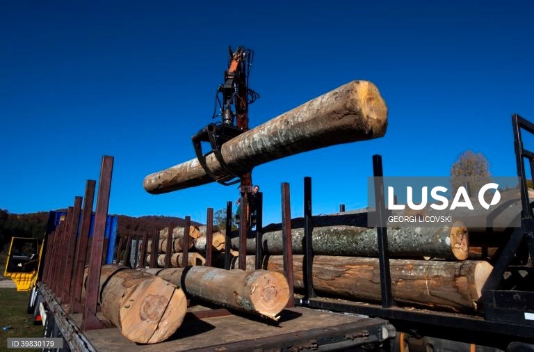 Macedónia do Norte: Crise energética faz disparar os preços da lenha