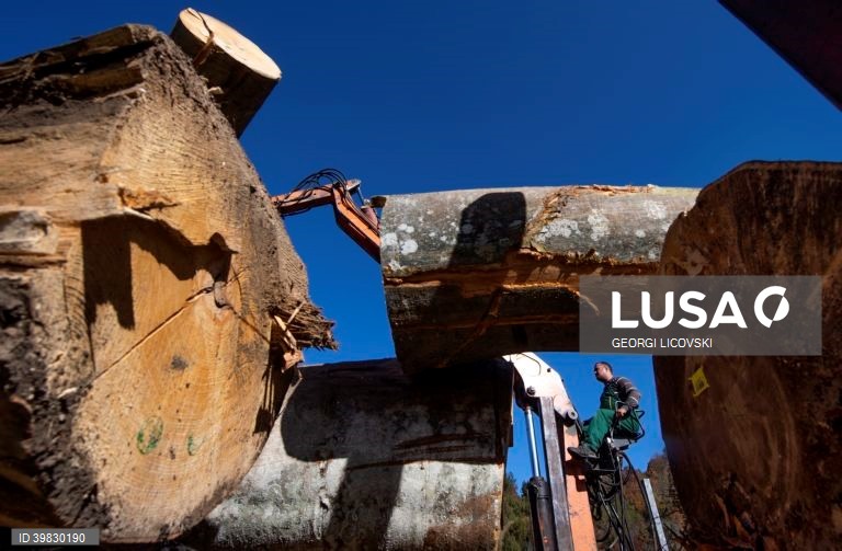 Macedónia do Norte: Crise energética faz disparar os preços da lenha