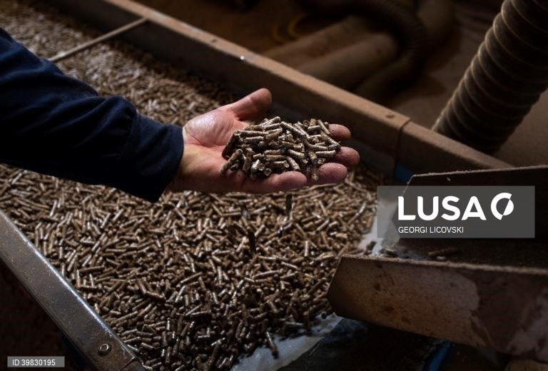 Macedónia do Norte: Crise energética faz disparar os preços da lenha