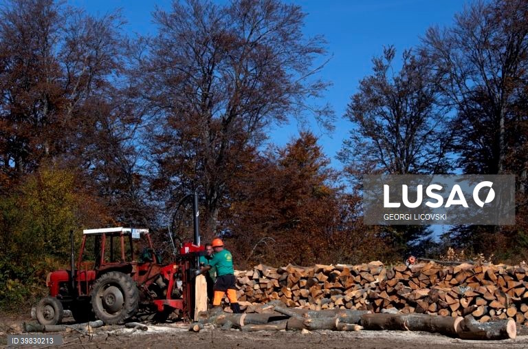 Macedónia do Norte: Crise energética faz disparar os preços da lenha