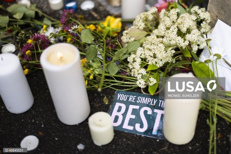 Suíça: Tributo à ‘rainha do rock'n roll' Tina Turner em Kuesnacht