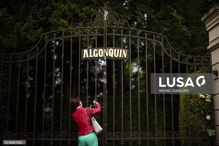 Suíça: Tributo à ‘rainha do rock'n roll' Tina Turner em Kuesnacht