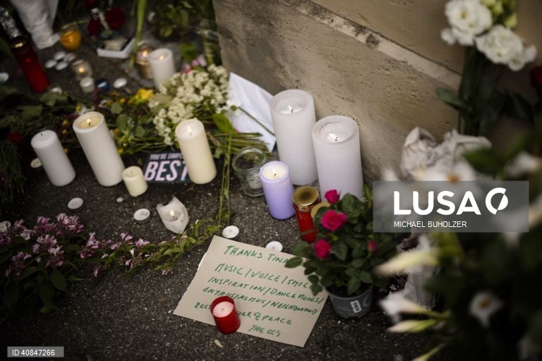 Suíça: Tributo à ‘rainha do rock'n roll' Tina Turner em Kuesnacht