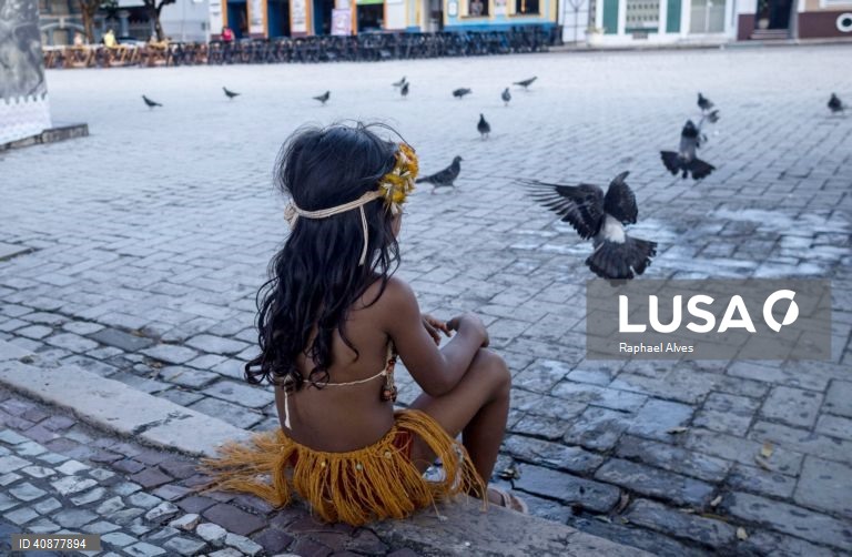 Brasil: Protesto indígena contra a política de demarcação de terras nativas