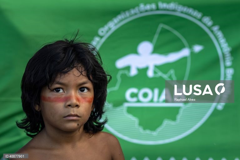 Brasil: Protesto indígena contra a política de demarcação de terras nativas
