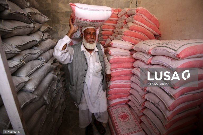 Paquistão: Mercado em Carachi