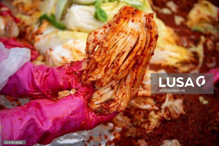 Coreia do Sul: Monges budistas fazem kimchi, couve fermentada, tradicional na Coreia