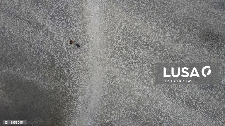 Bolívia: Seca no Lago Titicaca