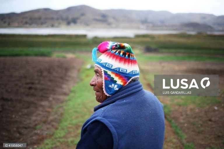 Bolívia: Seca no Lago Titicaca