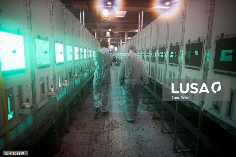 Flemming: Abertura da maior fábrica de insectos do Norte da Europa