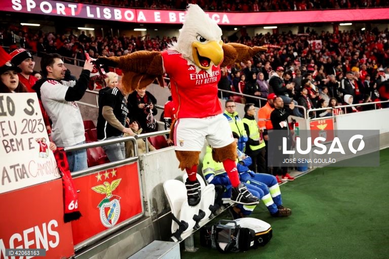 Futebol: Benfica vs Famalicão