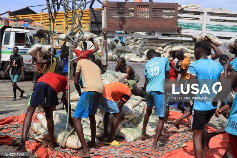 Somália: Bosaso regista um crescimento rápido