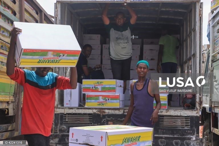 Somália: Bosaso regista um crescimento rápido