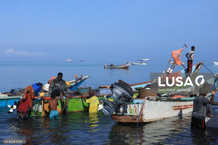 Somália: Bosaso regista um crescimento rápido