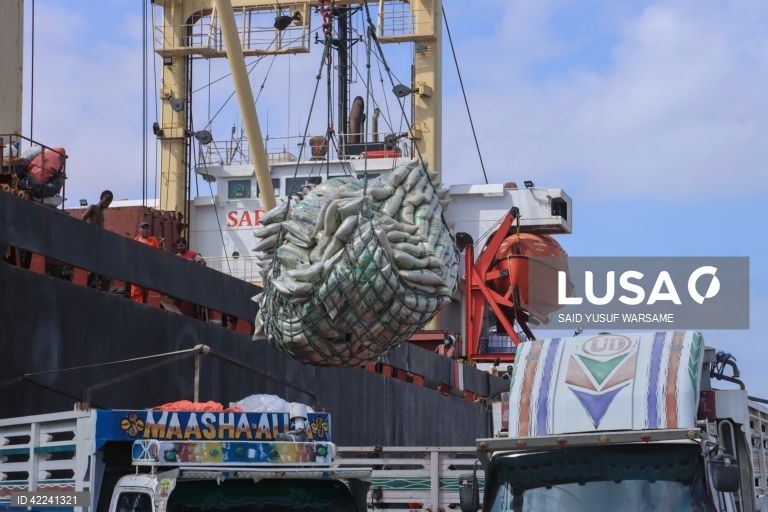 Somália: Bosaso regista um crescimento rápido