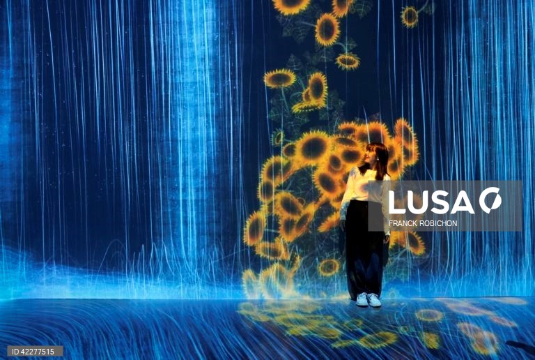 Japão: Apresentação do "teamLab Borderless" em Tóquio