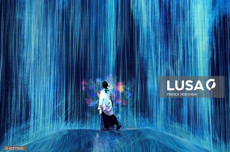 Japão: Apresentação do "teamLab Borderless" em Tóquio