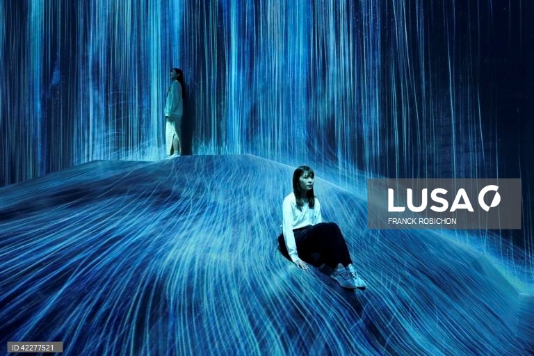 Japão: Apresentação do "teamLab Borderless" em Tóquio