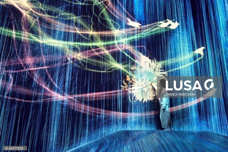 Japão: Apresentação do "teamLab Borderless" em Tóquio