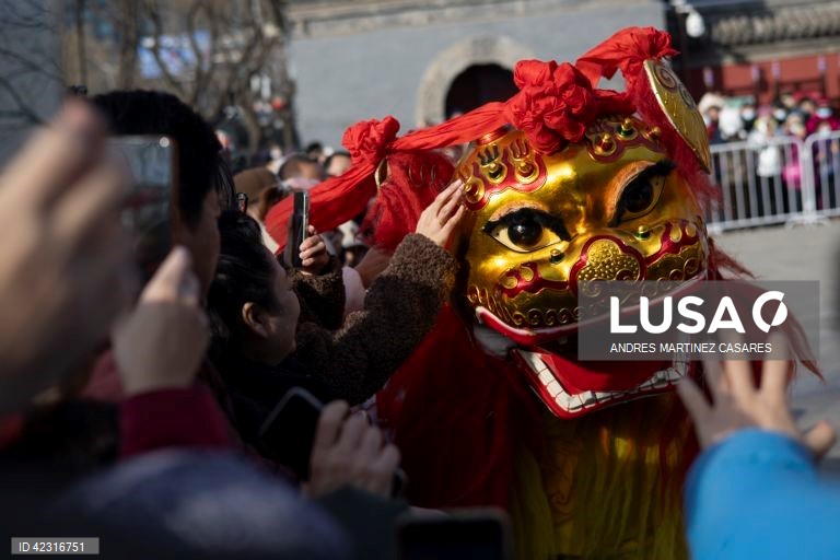 Artistas em ação durante uma dança do dragão no Templo Dongyue em Pequim, China. As celebrações do Ano Novo Lunar do Dragão estão a decorrer em toda a China durante a semana do Festival da primavera.  