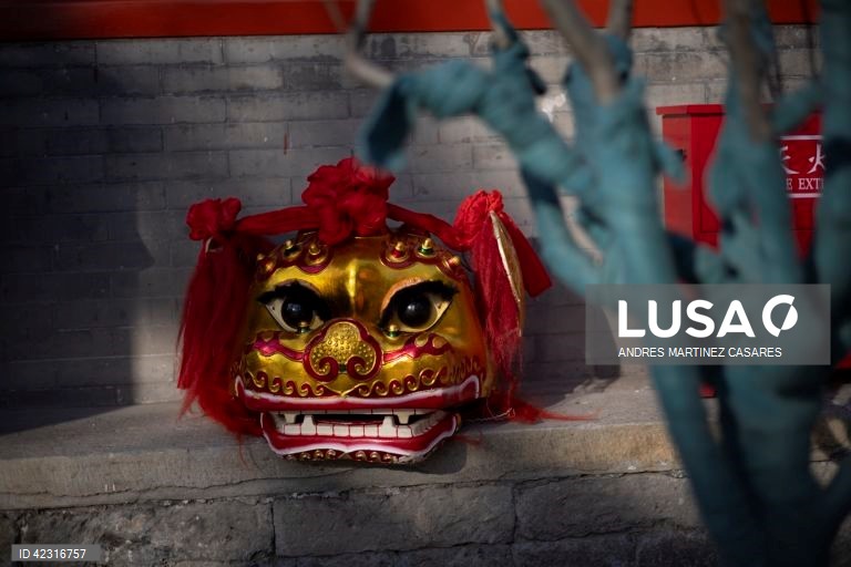 Artistas em ação durante uma dança do dragão no Templo Dongyue em Pequim, China. As celebrações do Ano Novo Lunar do Dragão estão a decorrer em toda a China durante a semana do Festival da primavera.  