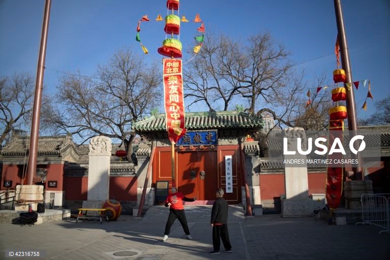 Artistas em ação durante uma dança do dragão no Templo Dongyue em Pequim, China. As celebrações do Ano Novo Lunar do Dragão estão a decorrer em toda a China durante a semana do Festival da primavera.  