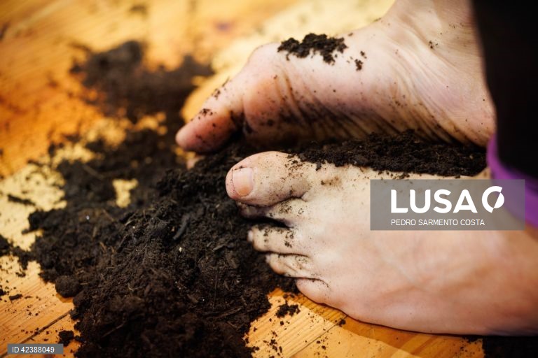 Projeto "Com os Pés", oficina com alunos do 12.º ano no Museu do Douro, no Peso da Régua, 22 de fevereiro de 2024. (ACOMPANHA TEXTO DE 26-02-2024) PEDRO SARMENTO COSTA/LUSA