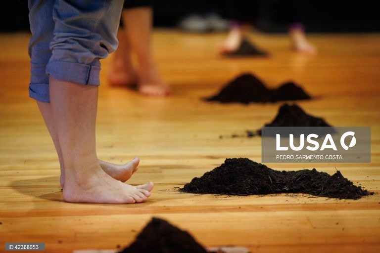 Projeto "Com os Pés", oficina com alunos do 12.º ano no Museu do Douro, no Peso da Régua, 22 de fevereiro de 2024. (ACOMPANHA TEXTO DE 26-02-2024) PEDRO SARMENTO COSTA/LUSA