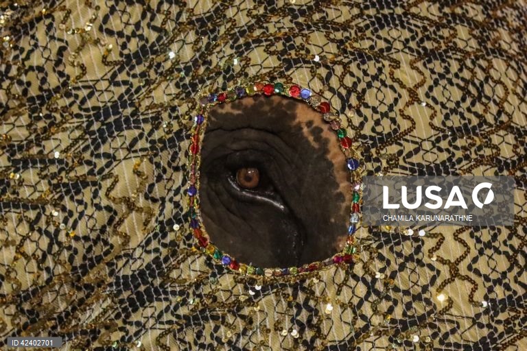 Colombo: Festival Navam Perahera.