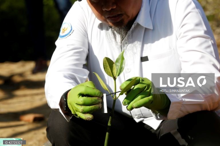 Indonésia: Programa de proteção da floresta de mangue em Banda Aceh