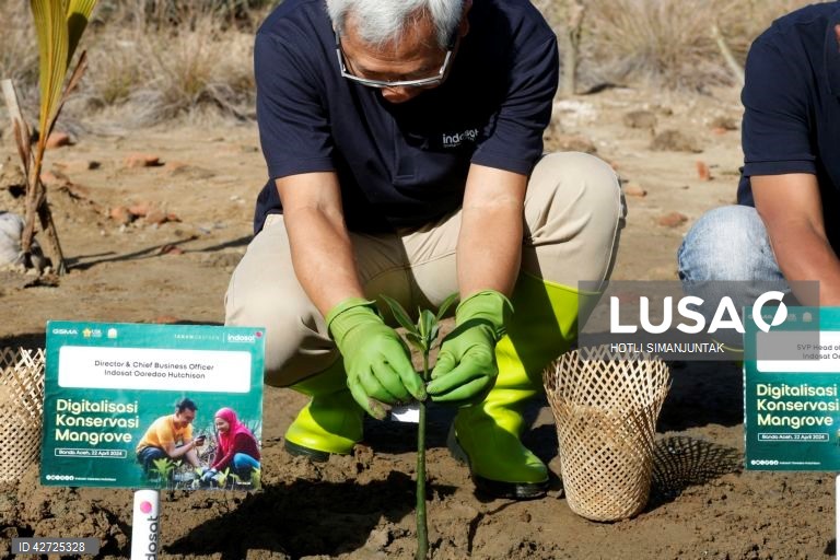 Indonésia: Programa de proteção da floresta de mangue em Banda Aceh