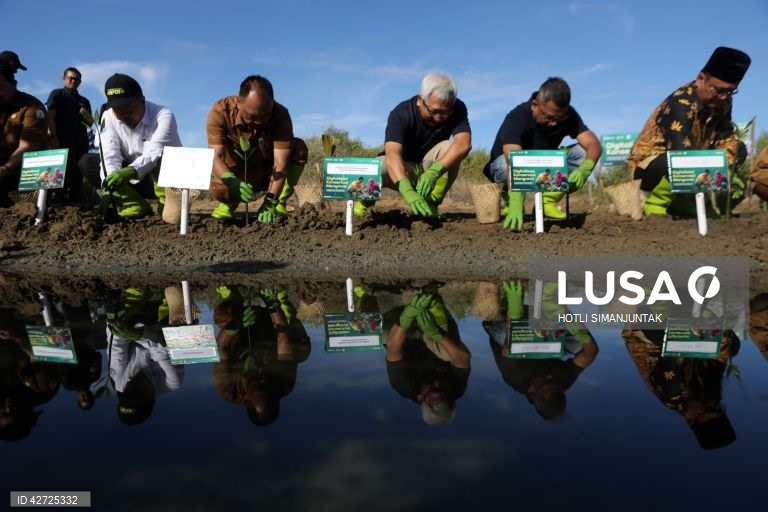 Indonésia: Programa de proteção da floresta de mangue em Banda Aceh