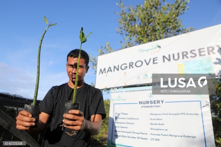 Indonésia: Programa de proteção da floresta de mangue em Banda Aceh