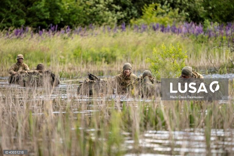 Dinamarca: Recrutas durante exercício militar.