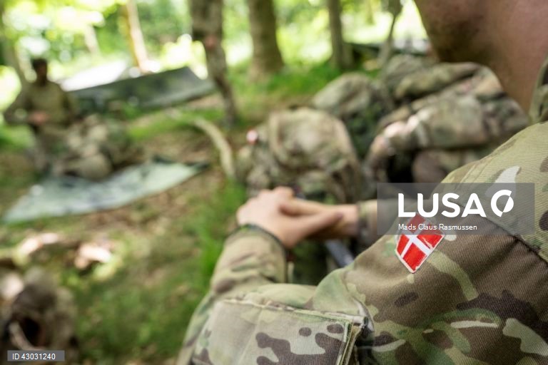 Dinamarca: Recrutas durante exercício militar.