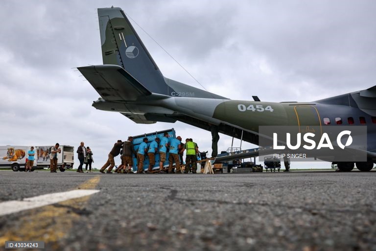 Dois aviões militares CASA, com um total de oito cavalos a bordo, descolaram dos aeroportos de Praga e Berlim em 3 de junho e aterraram em Arkalyk, no Cazaquistão, no dia seguinte, no âmbito do projeto "Devolução de Cavalos Selvagens" - um esforço conjunto da Associação Europeia de Zoos e Aquários (EAZA), da Sociedade Zoológica de Frankfurt e do exército checo. O projeto envolve a transferência dos cavalos de Przewalski - extintos na natureza no final da década de 1960 - para as suas estepes...
