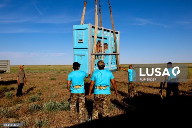 Dois aviões militares CASA, com um total de oito cavalos a bordo, descolaram dos aeroportos de Praga e Berlim em 3 de junho e aterraram em Arkalyk, no Cazaquistão, no dia seguinte, no âmbito do projeto "Devolução de Cavalos Selvagens" - um esforço conjunto da Associação Europeia de Zoos e Aquários (EAZA), da Sociedade Zoológica de Frankfurt e do exército checo. O projeto envolve a transferência dos cavalos de Przewalski - extintos na natureza no final da década de 1960 - para as suas estepes...