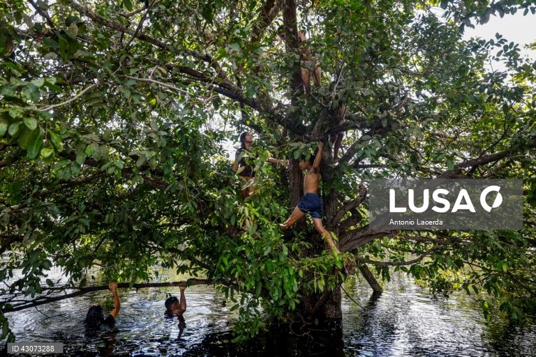 Brasil: Índios Muras tentam impedir campo de gás no coração da Amazónia brasileira