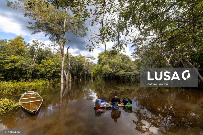 Brasil: Índios Muras tentam impedir campo de gás no coração da Amazónia brasileira