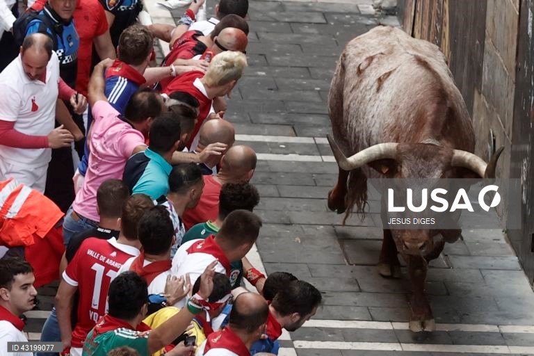 Festa de San Fermin 2024 em Pamplona