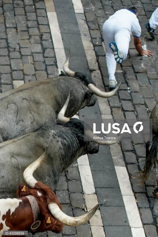 Festas de São Firmino 2024, Pamplona, Espanha