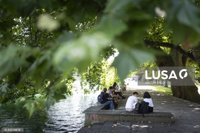 Suiça: Dia de verão em Zurique