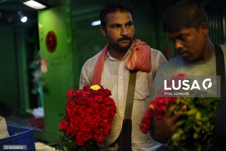 Índia: Mallick Ghat, o mercado de flores mais antigo de Calcutá