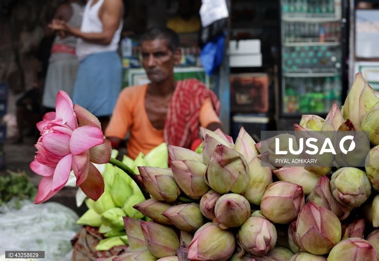 Índia: Mallick Ghat, o mercado de flores mais antigo de Calcutá