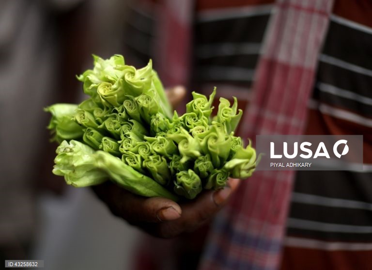 Índia: Mallick Ghat, o mercado de flores mais antigo de Calcutá