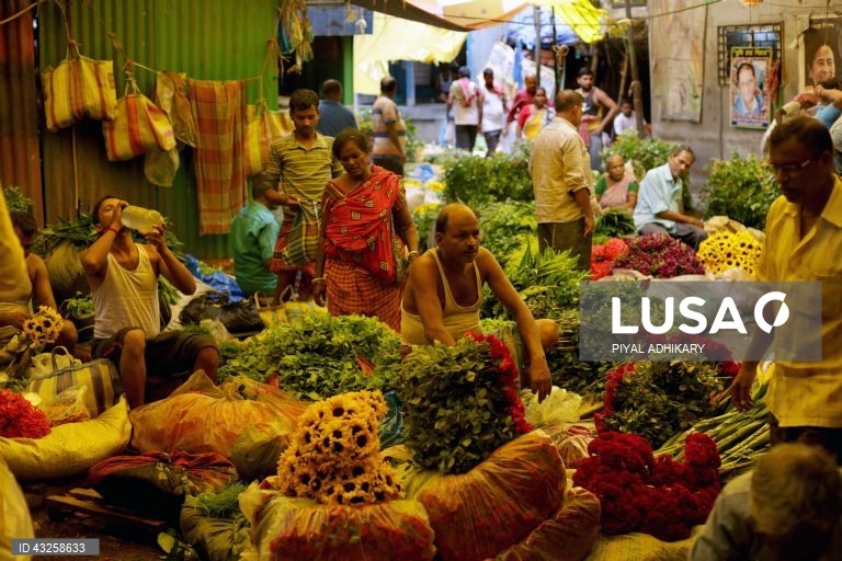 Índia: Mallick Ghat, o mercado de flores mais antigo de Calcutá