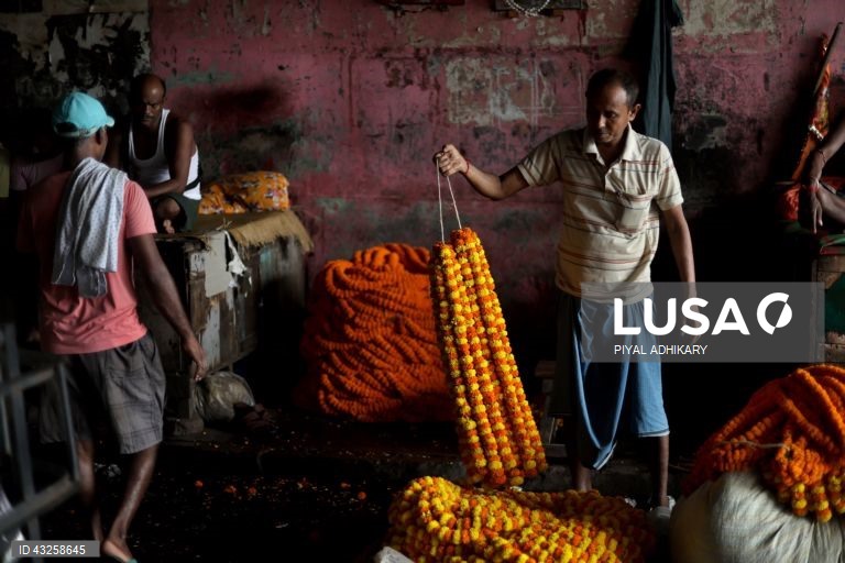 Índia: Mallick Ghat, o mercado de flores mais antigo de Calcutá
