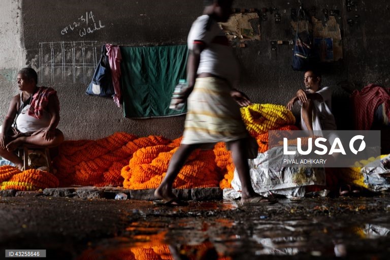Índia: Mallick Ghat, o mercado de flores mais antigo de Calcutá