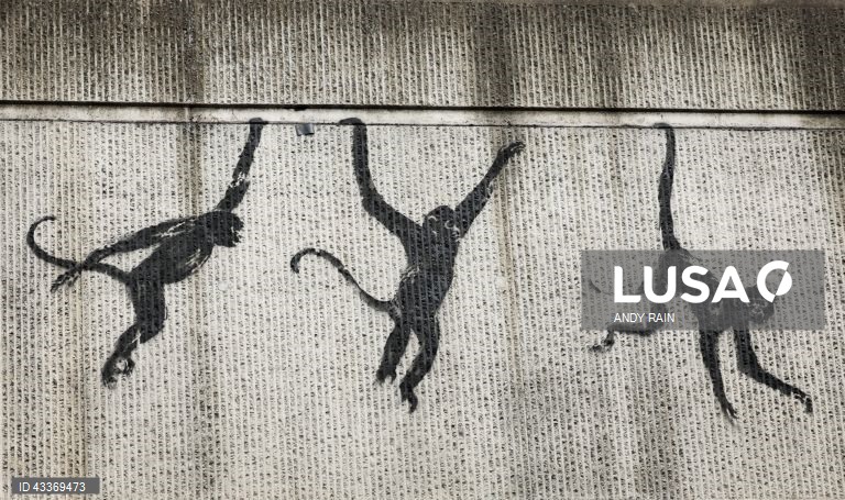 Londres: O artista britânico Banksy lança a sua terceira obra de arte com temática animal