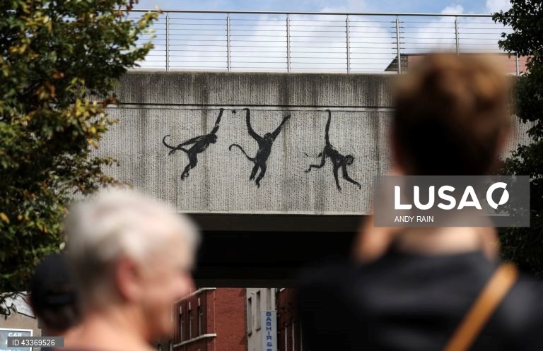 Londres: O artista britânico Banksy lança a sua terceira obra de arte com temática animal